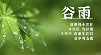 【二十四節(jié)氣灸】谷雨時節(jié)，用艾為您的健康加上一道保險！
