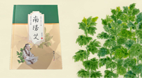 【行業(yè)資訊】國(guó)內(nèi)首部艾草專(zhuān)著《南陽(yáng)艾》，在南陽(yáng)新書(shū)首發(fā)！
