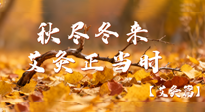 【健康/艾灸】秋盡冬來，艾灸正當(dāng)時(shí)——解鎖季節(jié)交替的養(yǎng)生密碼！