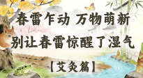 【二十四節(jié)氣灸】春雷驚醒濕氣！驚蟄艾灸3穴，疏肝祛濕養(yǎng)元氣！